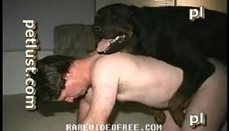 Zoo fucking in the ass of a man with a thoroughbred dog