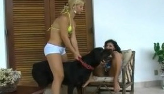 Două fete din mediul rural aranjate zoo porno cu un caine