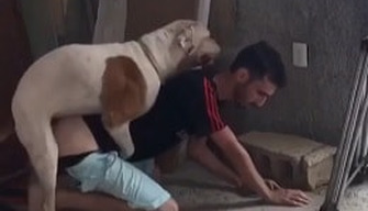 Dog fucks a Turkish man in the ass on a construction site